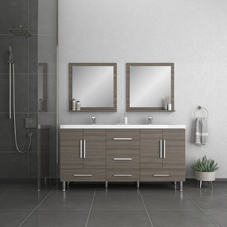 Alya Bath Ripley 67" Gray Double Vanity with Sink AT-8063-G