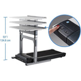 Lifespan TR5000-DT5 Treadmill Desk 38"