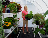 Solexx 8' x 16' x 8' Harvester Greenhouse G-416