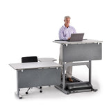 Lifespan Privacy Panel for Standing Desks